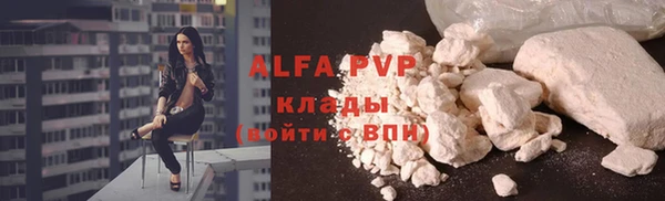 ПСИЛОЦИБИНОВЫЕ ГРИБЫ Касимов