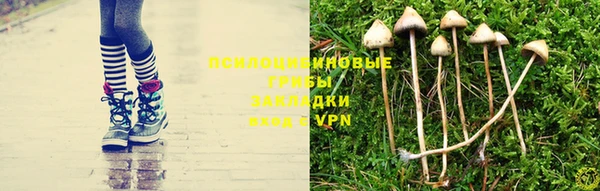 эйфоретик Каменногорск