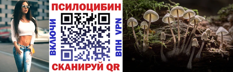 Галлюциногенные грибы Cubensis  Купить  Скопин 